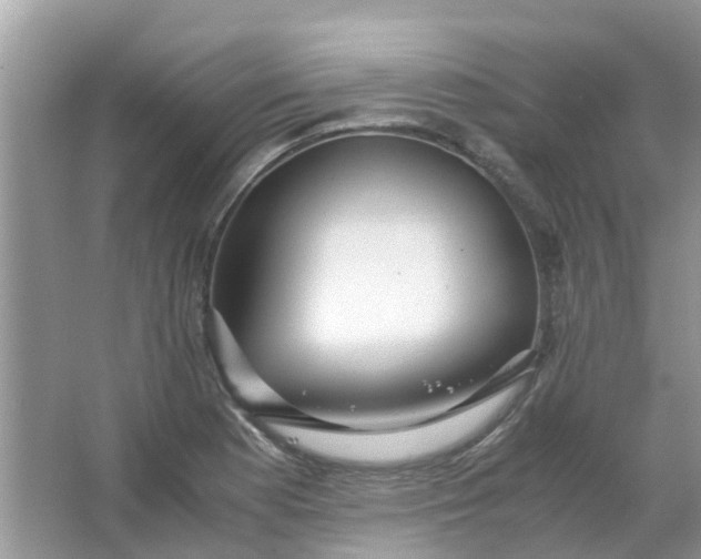 X0000067001177200604072141