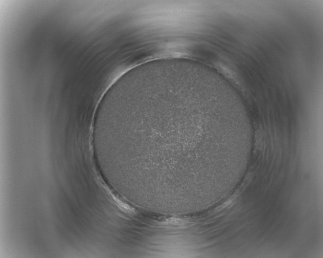 X0000067001178200604072141