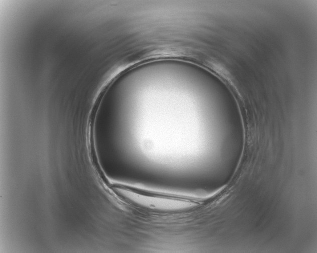 X0000067001179200604072141