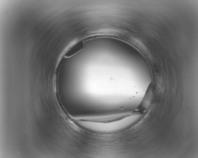 X0000067001180200604072141