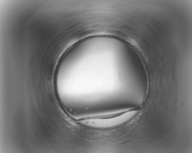 X0000067001181200604072141