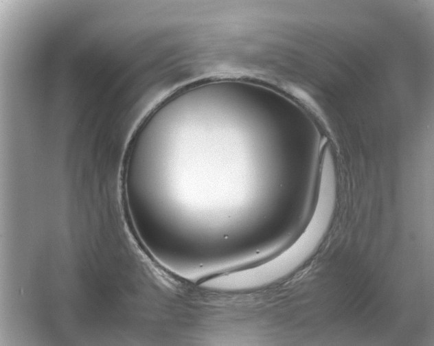 X0000067001183200604072141