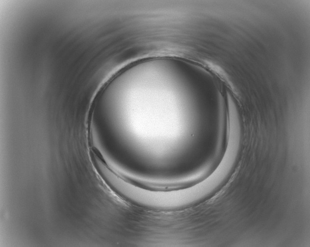 X0000067001184200604072141