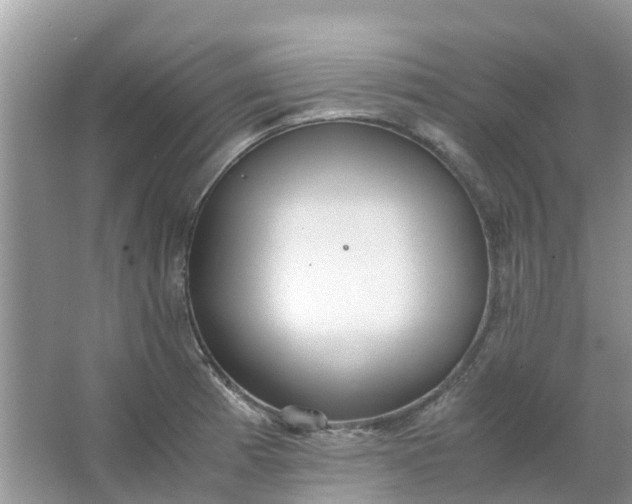 X0000067001185200604072141