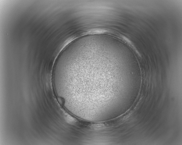 X0000067001186200604072141