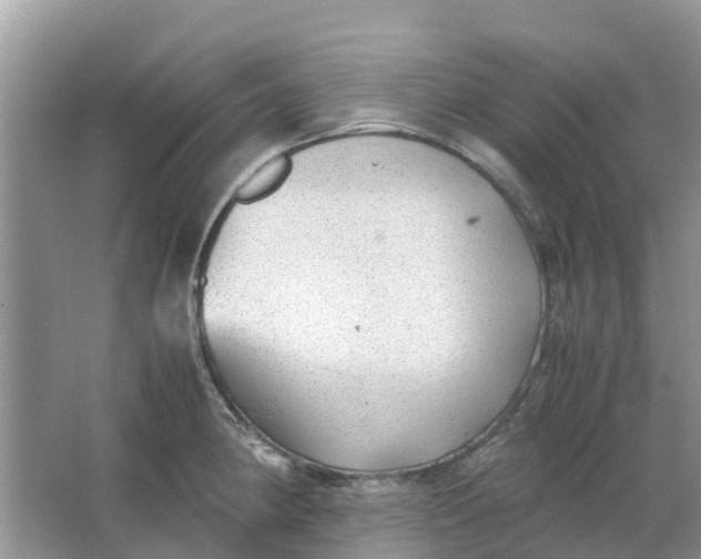 X0000067001190200604072141