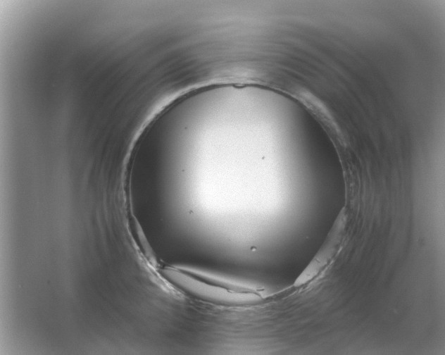 X0000067001192200604072141