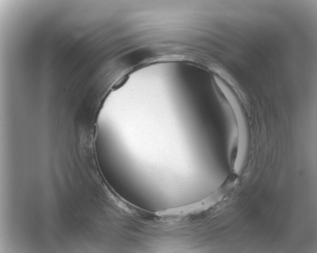 X0000067001193200604072141