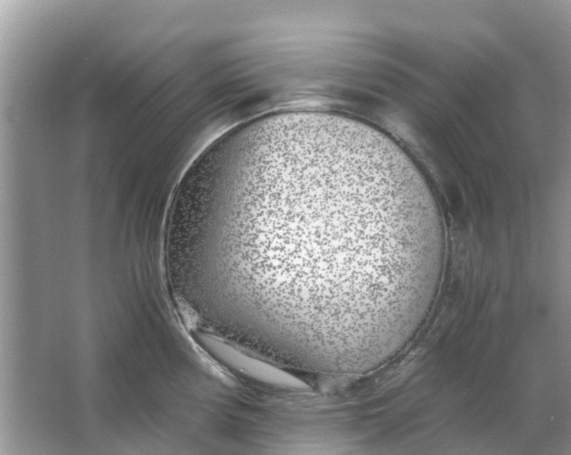 X0000067001194200604072141