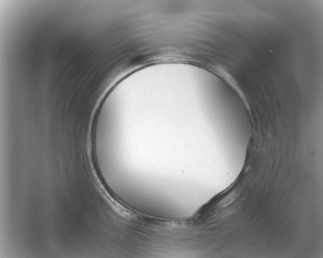 X0000067001195200604072141