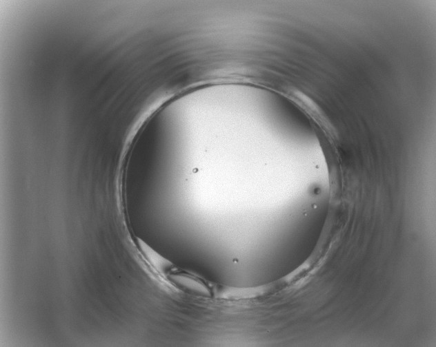 X0000067001196200604072141