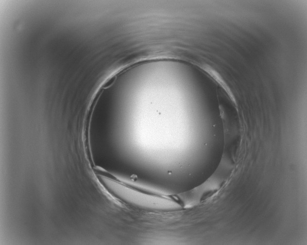 X0000067001197200604072141