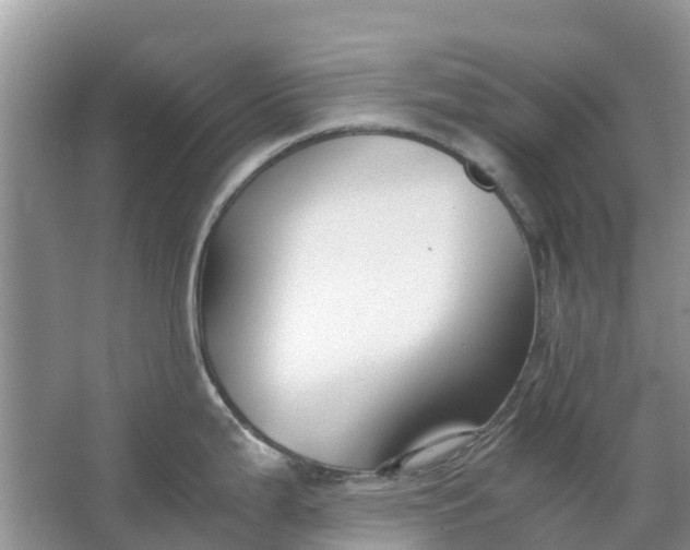 X0000067001199200604072141