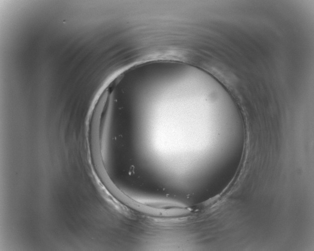 X0000067001200200604072141