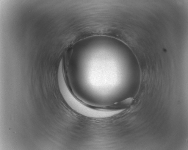 X0000067001202200604072140