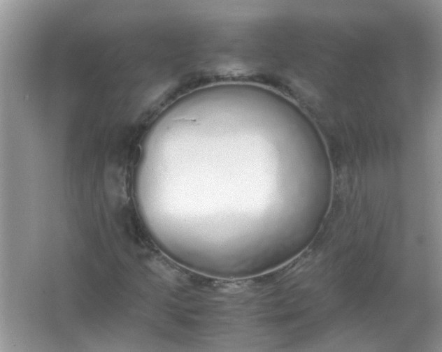 X0000067001205200604072140