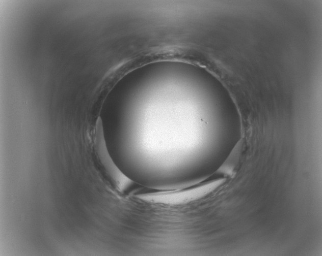 X0000067001206200604072140