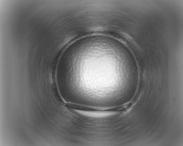 X0000067001209200604072140