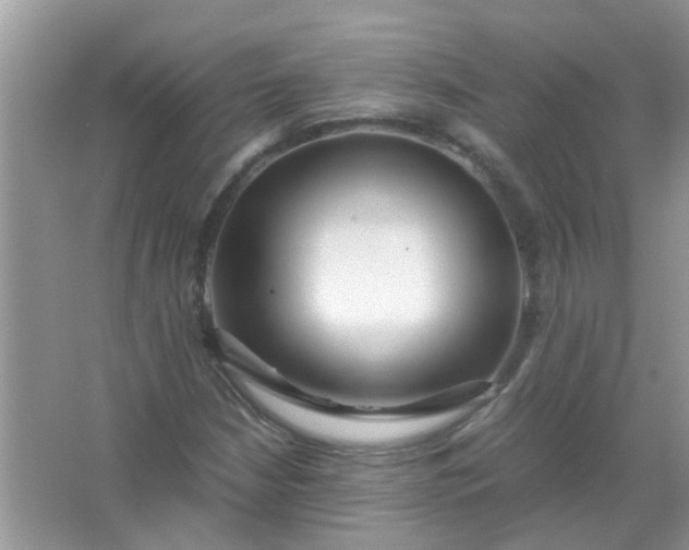 X0000067001210200604072140