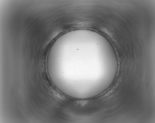 X0000067001211200604072140