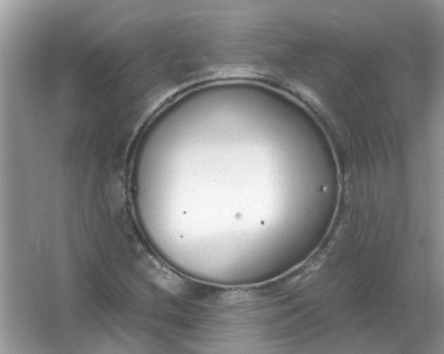 X0000067001212200604072140