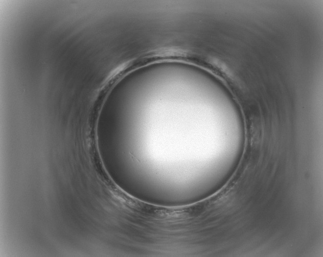 X0000067001213200604072140