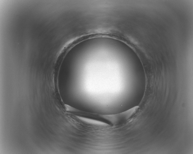 X0000067001214200604072140