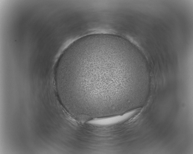 X0000067001215200604072140