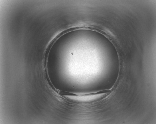 X0000067001216200604072140