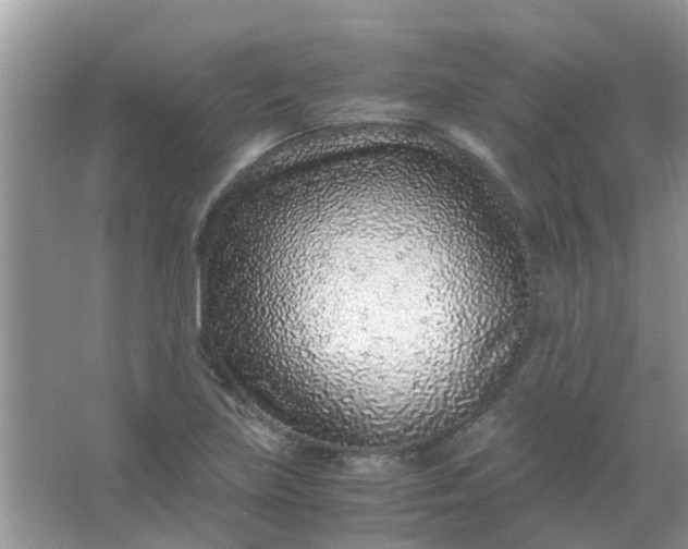 X0000067001219200604072140