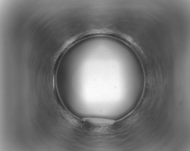 X0000067001221200604072140