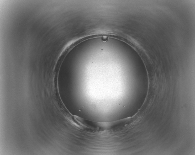 X0000067001222200604072140