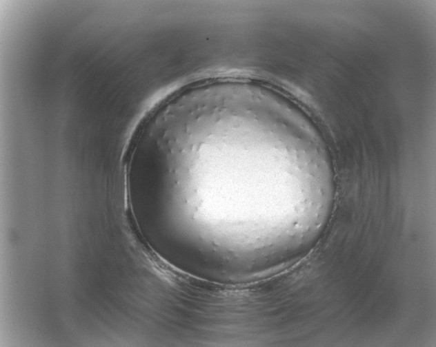 X0000067001223200604072140