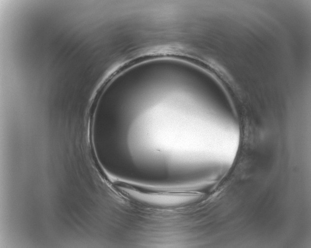 X0000067001224200604072140