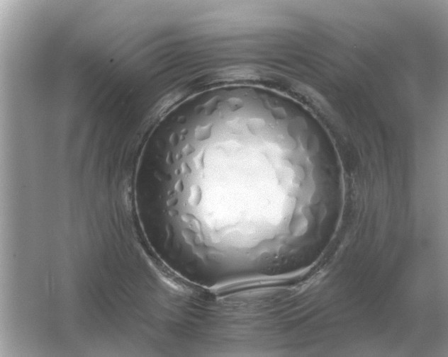 X0000067001225200604072140