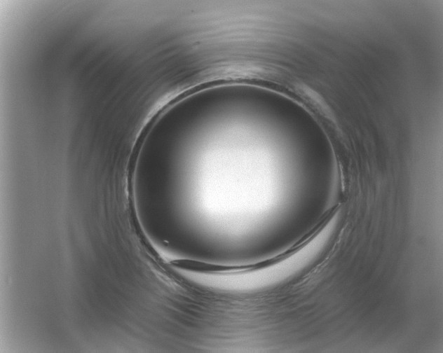 X0000067001226200604072140