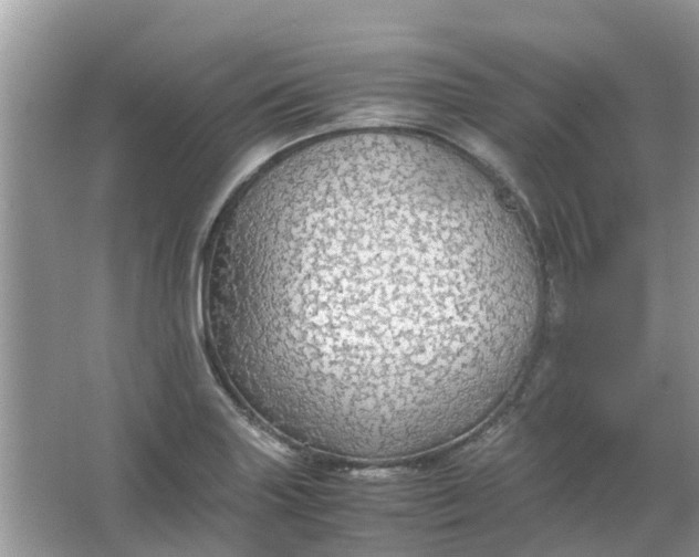 X0000067001227200604072140