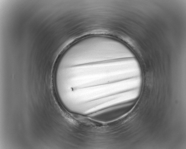 X0000067001229200604072140