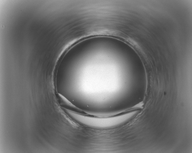 X0000067001230200604072140