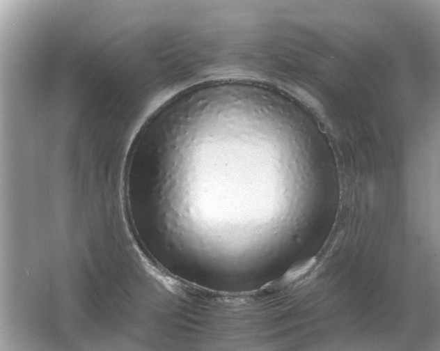 X0000067001231200604072140