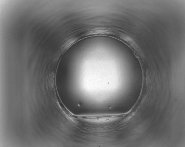 X0000067001233200604072140