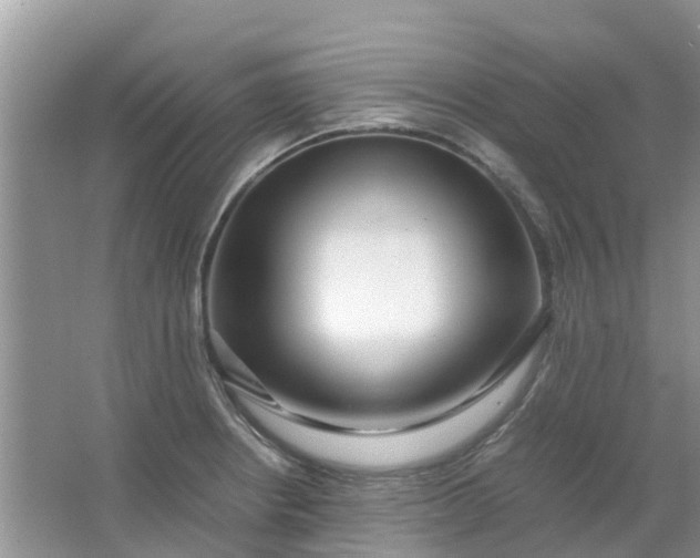 X0000067001234200604072140