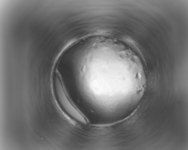 X0000067001235200604072140