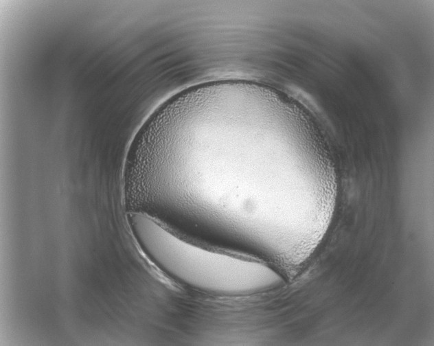 X0000067001236200604072140