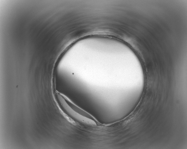 X0000067001237200604072140