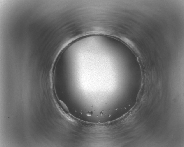 X0000067001238200604072140