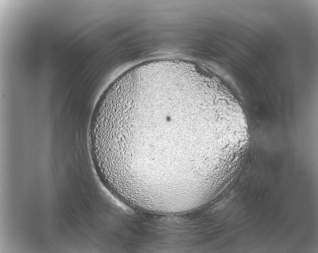 X0000067001239200604072140