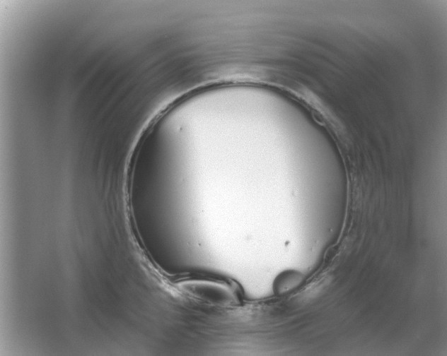 X0000067001240200604072140