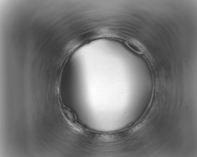 X0000067001241200604072140