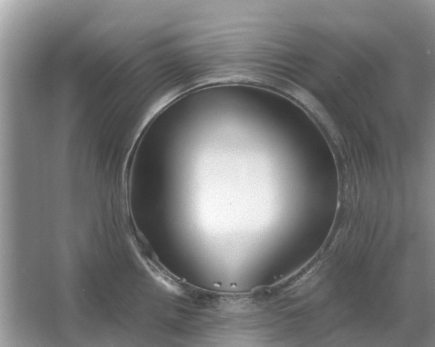 X0000067001242200604072141